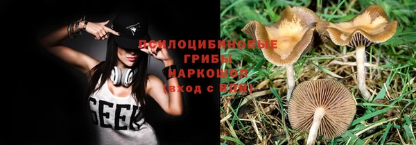кокс Липки