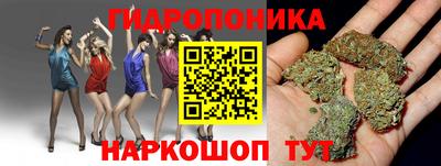 spice Заволжье