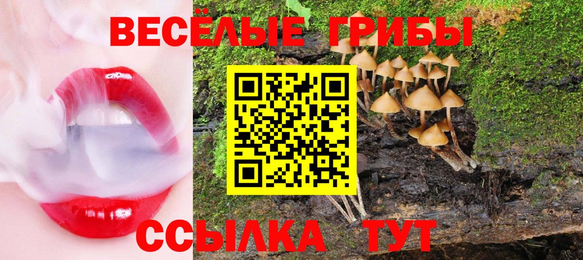Бирск  Псилоцибиновые грибы GOLDEN TEACHER  Вход с VPN  Галлюциногенные грибы прущие грибы 