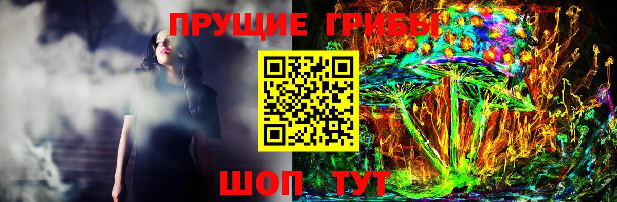 Галлюциногенные грибы Psilocybe Бирск